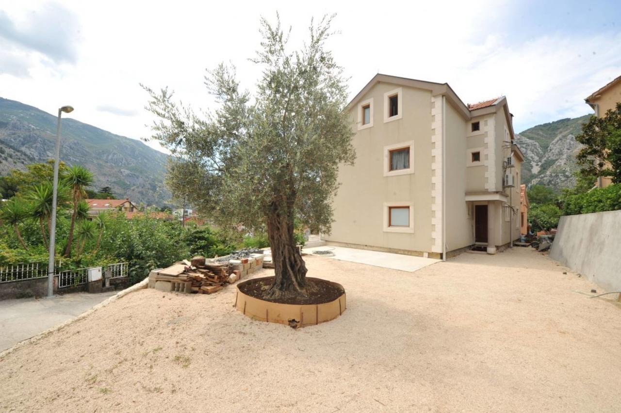 Apartments Olive Котор Экстерьер фото